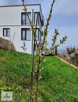 Karamürsel Tepeköy Satılık Villa