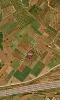 Güneşten Yolçatıda Yatırımlık Tarla