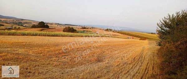 Sakarya Adapazarı Örentepede 4286 M² Yatırımlık Tarla