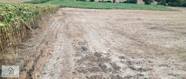 Adapazarı Karaderede Doğa İçinde 1665 M² Yatırımlık Tarla