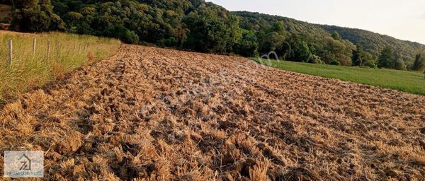 Yatırımcıya Özel: Adapazarı Aşırlarda 1992 M² Satılık Tarla
