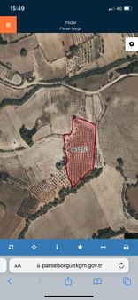 Palalı Gayrimenkulden Zeytin Bahçesi