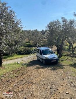 Balıkesir Havran Çamdibi Satılık Tarla