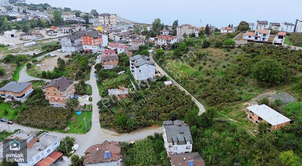 Satılık İmarlı Arsa Bolaman / Yeni Pazar Mevkii