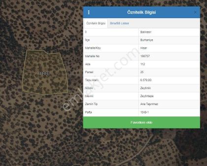 Burhaniye Hisar Da Satılık Zeytinlik