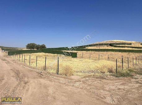 Pusula Gm'den Kıvırcık'ta Avuç İçi Gibi Düz Bağevi Yeri