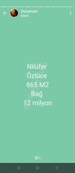 Nilüfer Özlüce Satılık Bağ