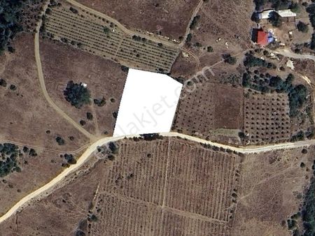 Mersin Mezitli Cemilli Baraj Manzaralı Satılık Tarla