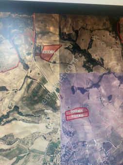 Palalı'dan Yatırımlık Tarla