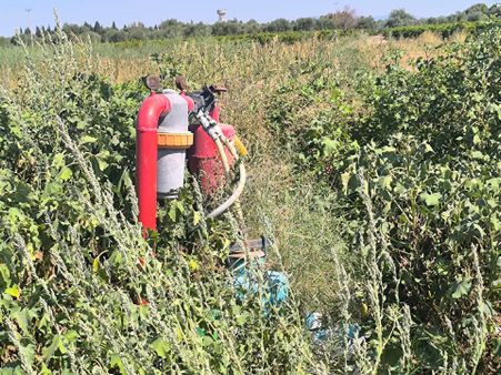 Manisa Paşaköyde Köye 100meyre 2550m2 Arazi 2475.000tl