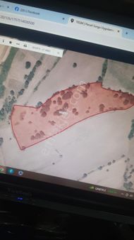 Gül Emlaktan Ortacada Yolu Olan Fırsat Tarla