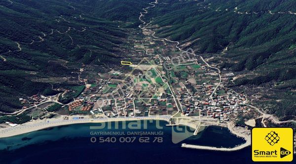 Erdek Turanköy'de 3.673 M² Satılık Zeytinlik