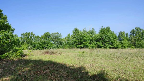 Bursa Mkp Muradiyesarnıç Turizm Bölgesinde Satılık Tarla