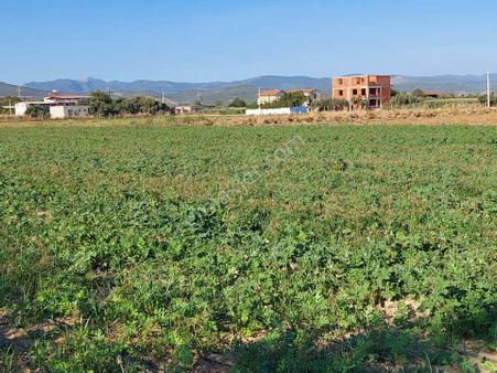 Torbalı Eğerci Mahlesin De Satılık