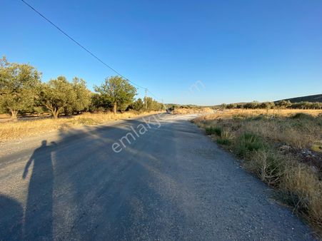 Manisa Akhisar Efem Gayrimenkulden Şehre Yakın 1035 M2 Tarla!!