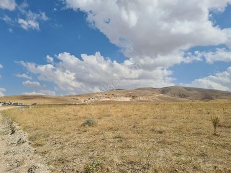 Ulukışla Ovacıkta Verimli Düz Satılık Tarla