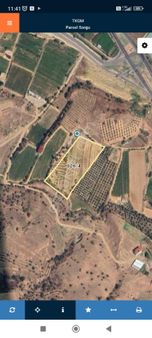 Klas Emlaktan Alaşehir Çataltepe Mevkiinde Satılık Zeytinlik