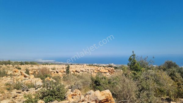 Kumkuyu Çanakçı'da