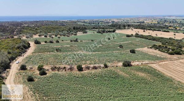 Çanakkale Eceabat Büyükanafarta Köyünde Satılık Manzaralı Tarla