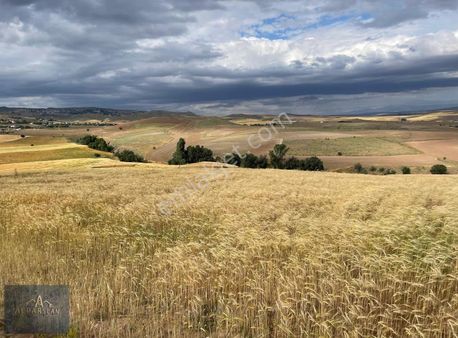 Alparslan Emlak'tan Satılık Tarla '' Bu Fırsat Kaçmazz''