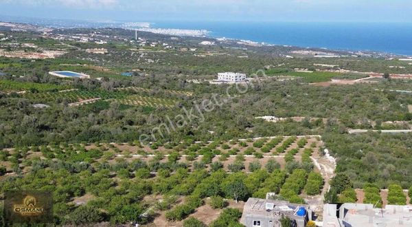 Batısandalda Satılık Bahçe 3500 M2