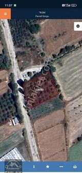 Yelemede Ana Yola Cephe Tarlamız Satılıktır