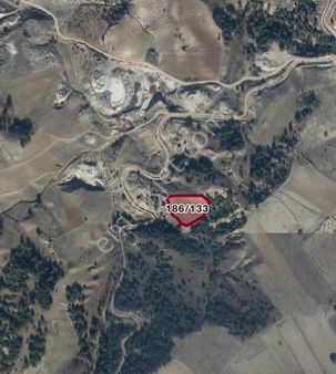 Söğüt Çakabayrı Köyü’nde 3.535 M² Satılık Arsa