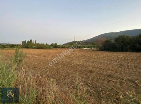 Ekindere Mahallesinde Satılık 7556 M2 Kullanışlı Tarla