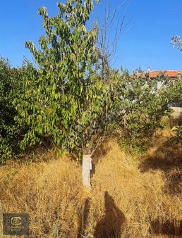 Peçenek Mesire Alanı Yanında Yapı Kayıt Belgeli Tapulu Bahçe