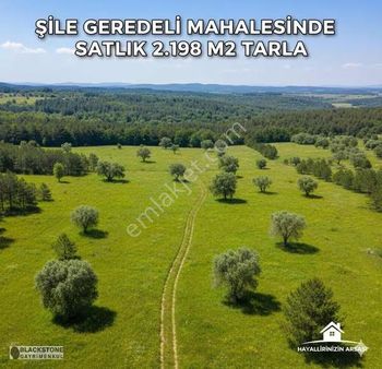 Şile Geredeli Mahallesinde Yerleşim Yerine Yakın Satılık Tarla