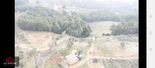 Damlacık Favori Bölgesi Solmaz Da Acil Satılık Arsa