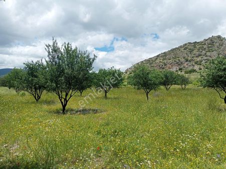 Korkuteli Çomaklı'da 8070 M2 Satılık Tarla