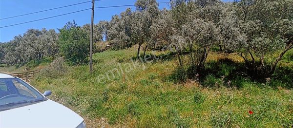 İzmir Bodrum Anayoluna Sıfır Arazi 700 Bin Lira