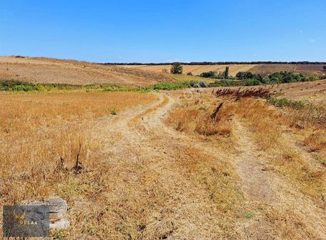 Bezirci Mahallesinde 2421 M² Satılık Tarım Arazisi