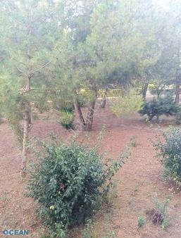 Yahya Kaptan Mahallesi'nde Bulunan Dairemiz Kiralıktır