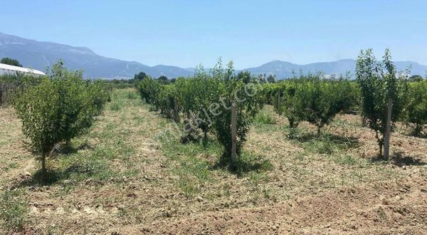 Geb'ten Merkeze Yakın Fırsat Arazi