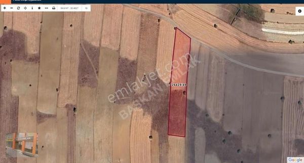 Başkan Emlaktan Satılık Buldukpınarı Mahallesinde 7.125 M2 Tarla