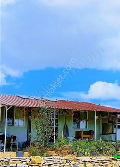 Loft Gayrimenkulden Alınca'da Satılık İçinde Evi Olan Bahçe