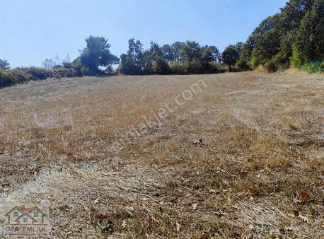 Öza Emlak Balıkesir Gönen Çığmış Köyü Köy Dibinde Satılık Tarla