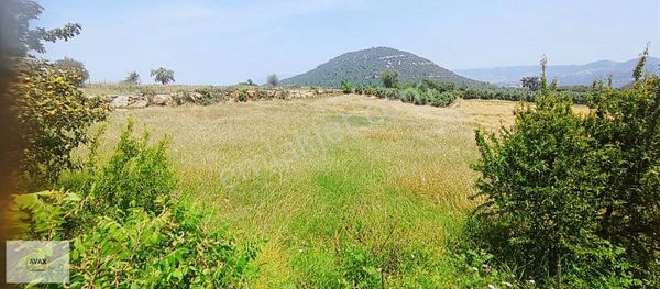Avax'tan Mersin Manzaralı 3 Dönüm Mükemmel Arsa