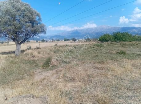 Aras Emlaktan Satılık Müstakil Tek Tapu 2.536 M2 Tarla