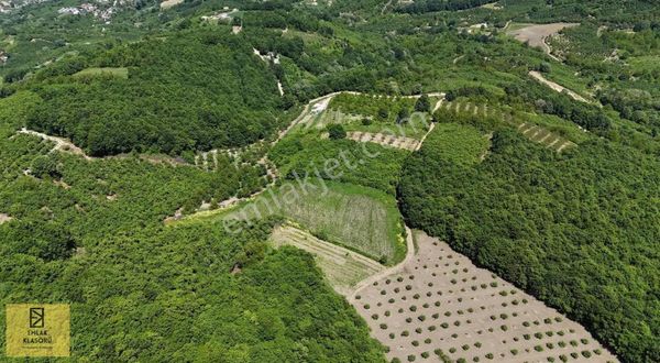 Yatırıma Uygun, Göl Manzaralı, Müstakil Tapulu Tarla!