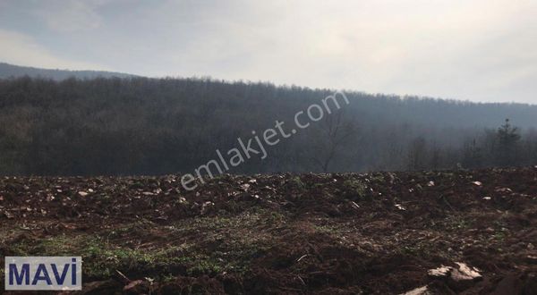 Remax Mavi Göktepe 5487 M2 Satılık Tarla