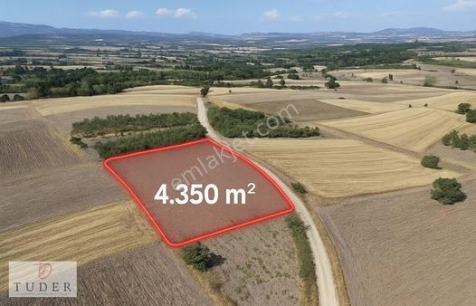 Tuder'den Nilüfer İrfaniye'de Tarla Satılık - 4350 M²