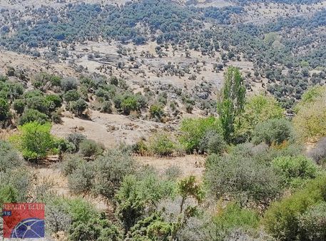 Çanakkale|ayvacık|çınarpınar Köyü-tospat Mevkinde Satılık Tarla