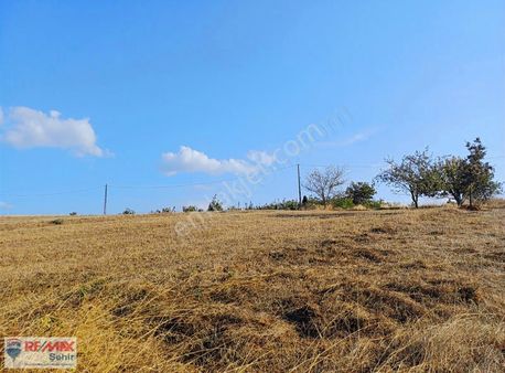 Yalova Altınova Geyikderede 1014m² Satılık Meyve Bahçesi