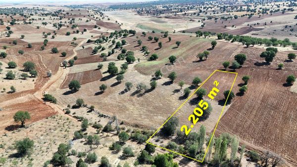 Konya / Güneysınır / Kurukavak Mahallesinde 2.205 M² Müstakil Tapulu Tarla