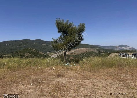 Söke Ağaçlı Golf Resort De Satılık İmarlı Arsalar