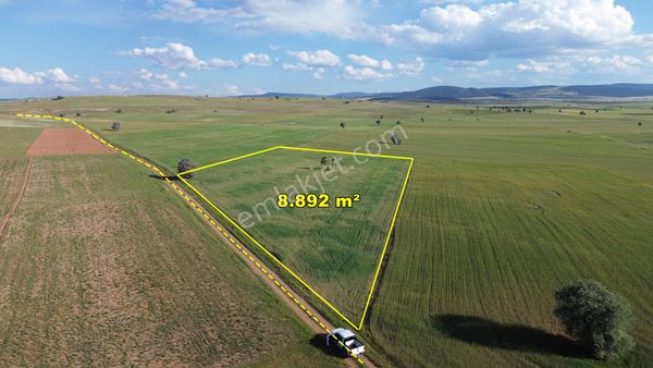 Konya / Akören / Hacılar Mahallesinde 8.892 M² Müstakil Tapulu Tarla