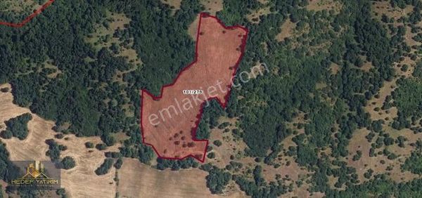 Kelepir Çiftlik Ve Cevizlikler Yakınında Tek Tapu 25 Dönüm Arazi